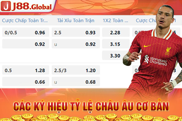 Các ký hiệu tỷ lệ Châu Âu cơ bản Các ký hiệu tỷ lệ Châu Âu cơ bản