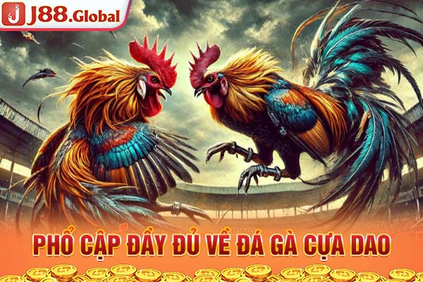 Phổ cập đầy đủ về đá gà cựa dao Phổ cập đầy đủ về đá gà cựa dao