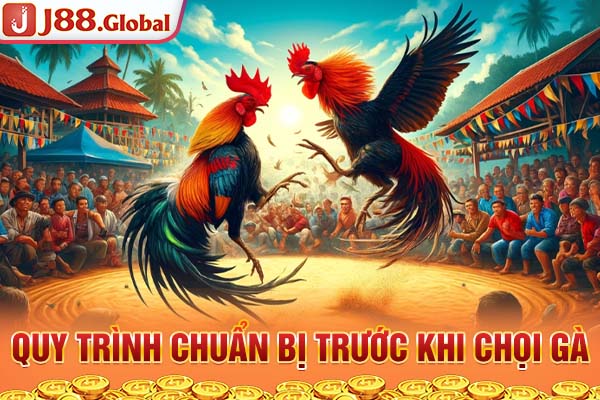 Quy trình chuẩn bị trước khi chọi gà Quy trình chuẩn bị trước khi chọi gà