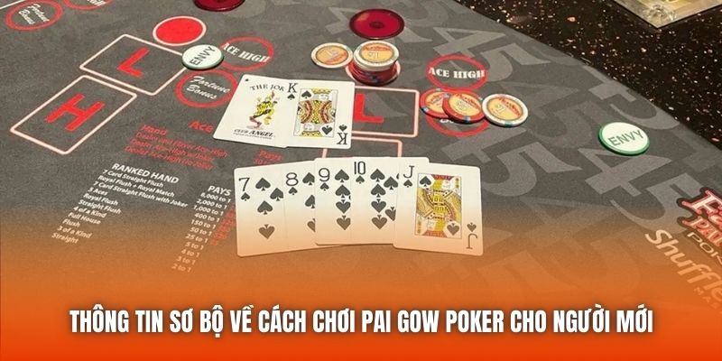 Thông tin sơ bộ về cách chơi Pai Gow Poker cho người mới